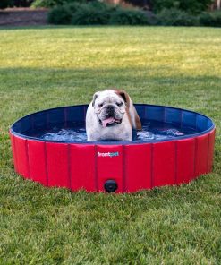 Frontpet Folding Dog Pool With Drain Plug PET SUPPLIES