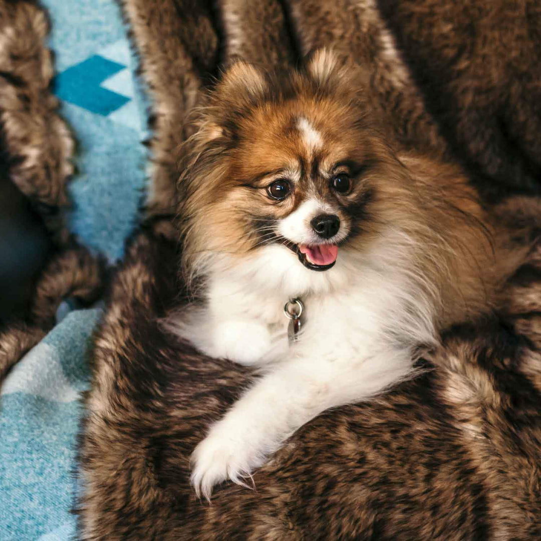 Moonstone Faux Wolf Fur Blanket With Button Straps And Storage Pocket, 54 Inches X 64 Inches HOME GOODS 5 Moonstone Faux Wolf Fur Blanket With Button Straps And Storage Pocket, 54 Inches X 64 Inches HOME GOODS