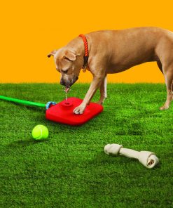 Frontpet PET SUPPLIES Pawcet Outdoor Dog Water Fountain With Hose Attachments