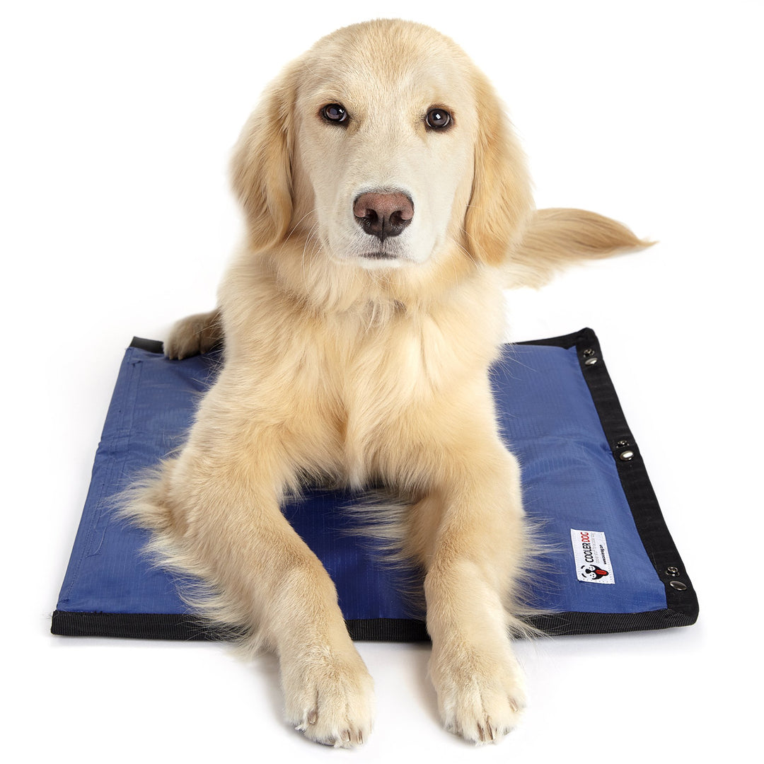 Frontpet Modular Cooling Pet Mat With Three Layers Of Insulation & FlexiFreeze Ice Sheet 1 Frontpet Modular Cooling Pet Mat With Three Layers Of Insulation & FlexiFreeze Ice Sheet