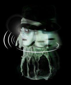 Holidayana Animatronic Spinning Severed Head - Sound And Touch Activated Halloween Decoration Lighted Eyes Patio & Outdoors